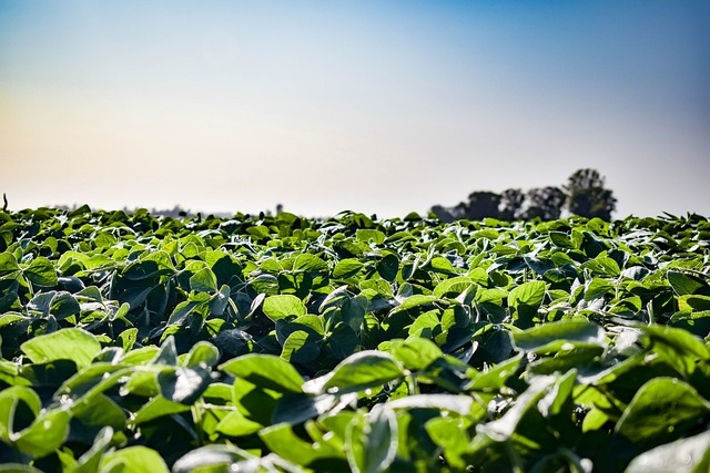 Agronomie et Véterinaire